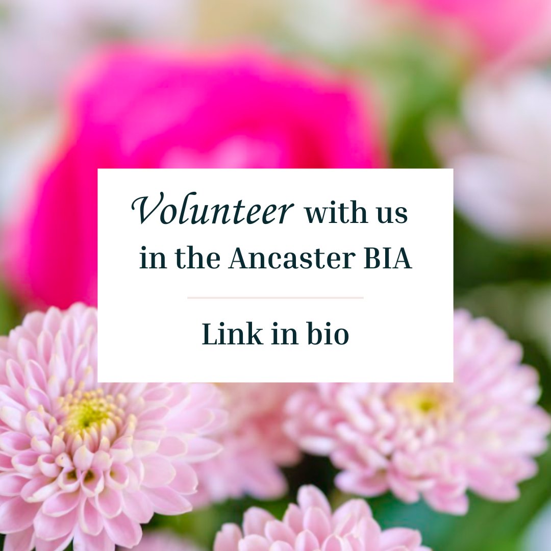✨Volunteer With Us ✨ The Ancaster BIA and Ancaster Farmers Market are looking for volunteers to assist with upcoming events! Interested in helping out in your community and/or getting hours for school? Fill out this form : forms.gle/YFk2XpfurK1MeJ… #HamOnt
