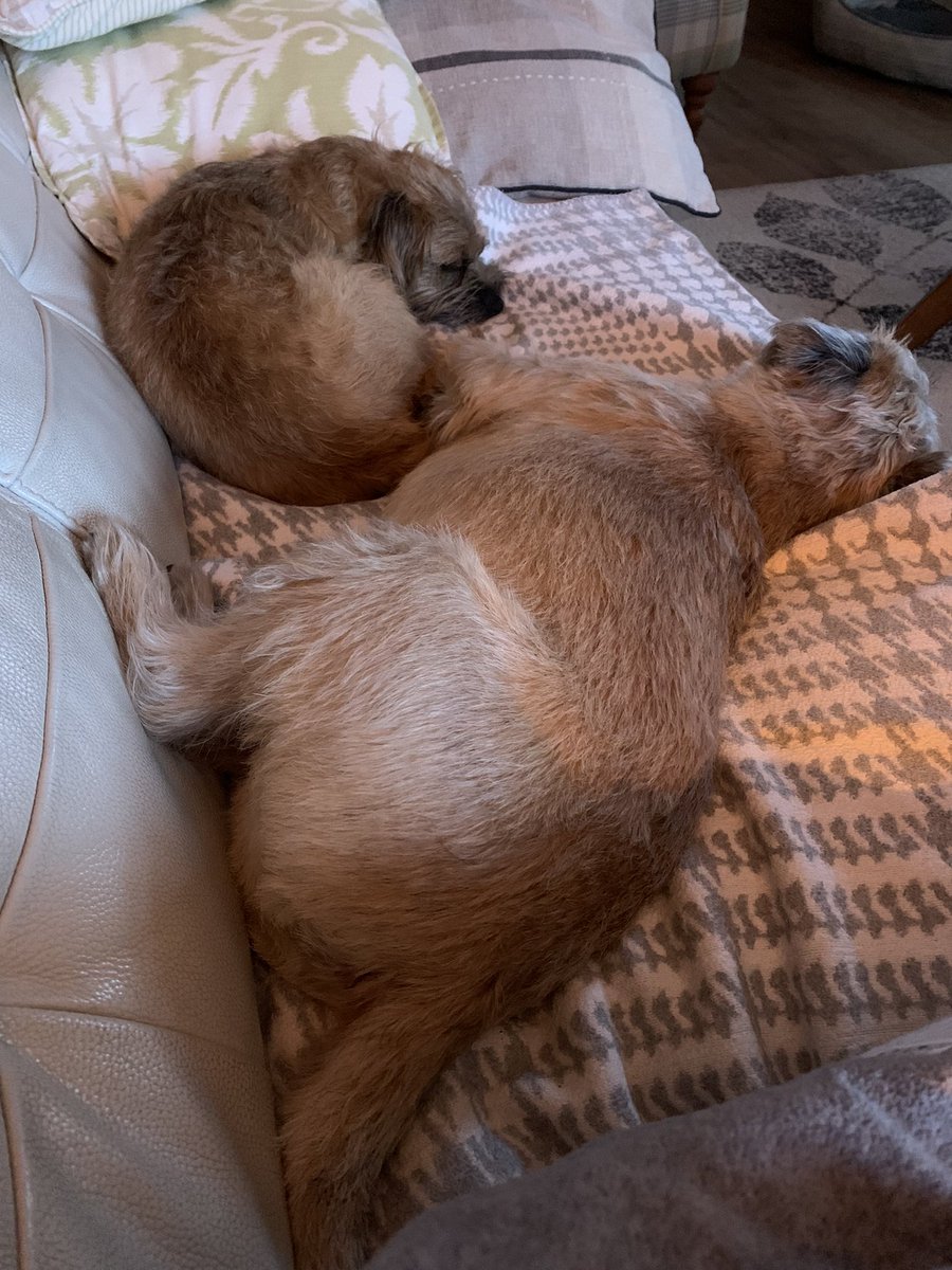 Well an trooly pooped! Night night #BTPosse Pals! 😴😴 xx