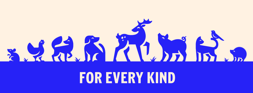 This week we have seen history in the making as the @RSPCA_official launched their new brand 'For Every Kind' -But what change does this bring, more specifically for farmed animals? Find out what our Executive Director has to say here: bit.ly/4cQQZTv