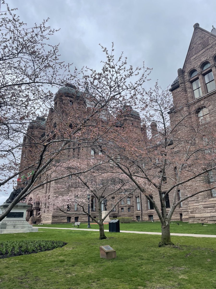 The cherry blossoms will be blooming at Queen’s Park very soon. #onpoli