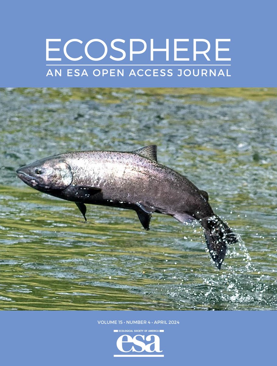We're jumping for joy: Our April issue is here! #OpenAccess Many thanks to @fishlips_caj for this cover shot of a Chinook salmon, seen here returning to spawn in one of California's few remaining self-sustaining core natural spring runs Browse the issue: esajournals.onlinelibrary.wiley.com/toc/21508925/2…