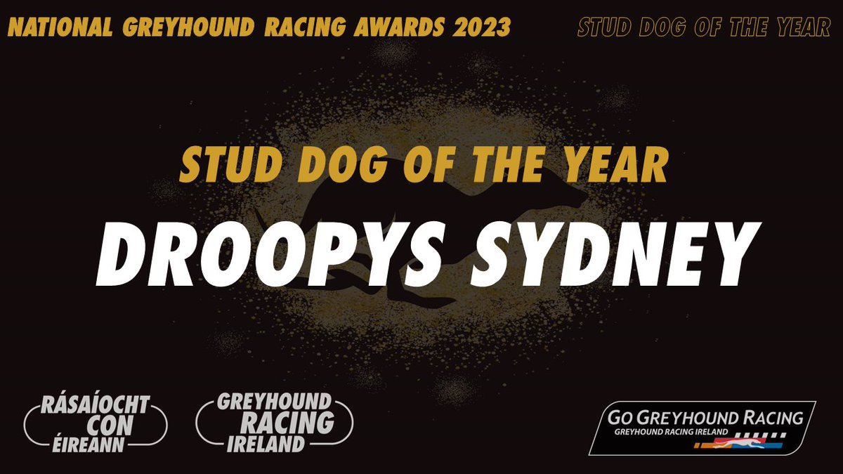 🏆 Stud Dog of the Year For the 3rd Year in a row and no surprise given his amazing success, the honours go to Droopys Sydney. Congratulations to the Courtmachove Syndicate and all involved #GreyhoundAwards #ThisRunsDeep #GoGreyhoundRacing