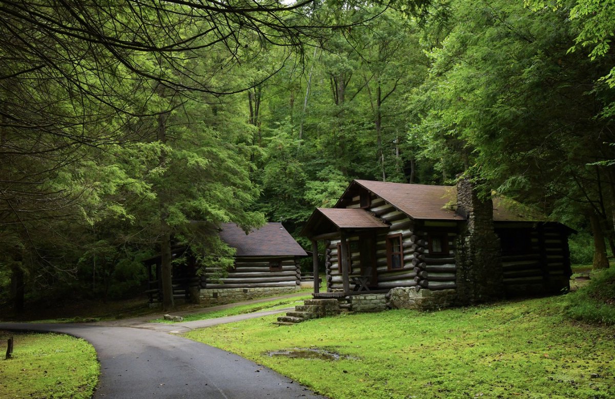This cabin is giving all the springtime vibes. 🌼 Find your next stay: bit.ly/3Ix4Pg3 📍: Cabwaylingo State Forest
