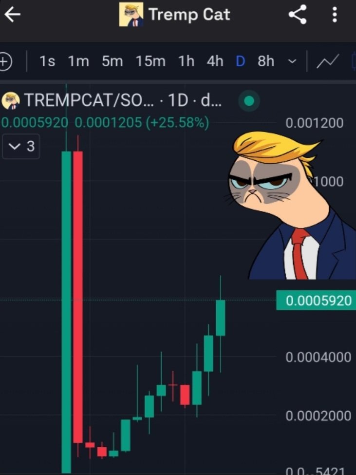 While #BTC falls, #TrempCat will continue to rise. IYKYK