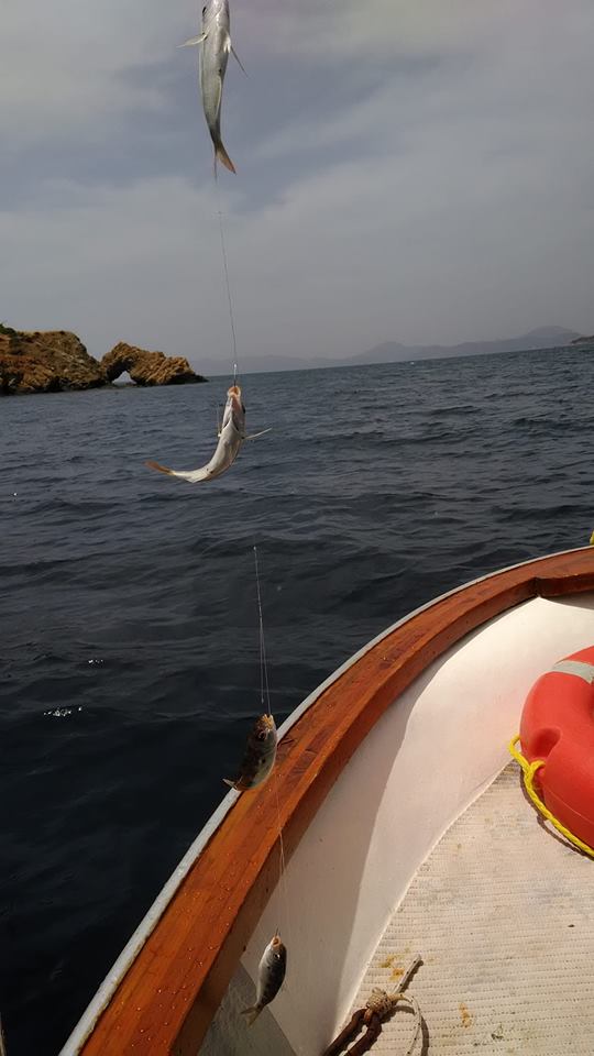 G.MEHMET Ş. tweet media