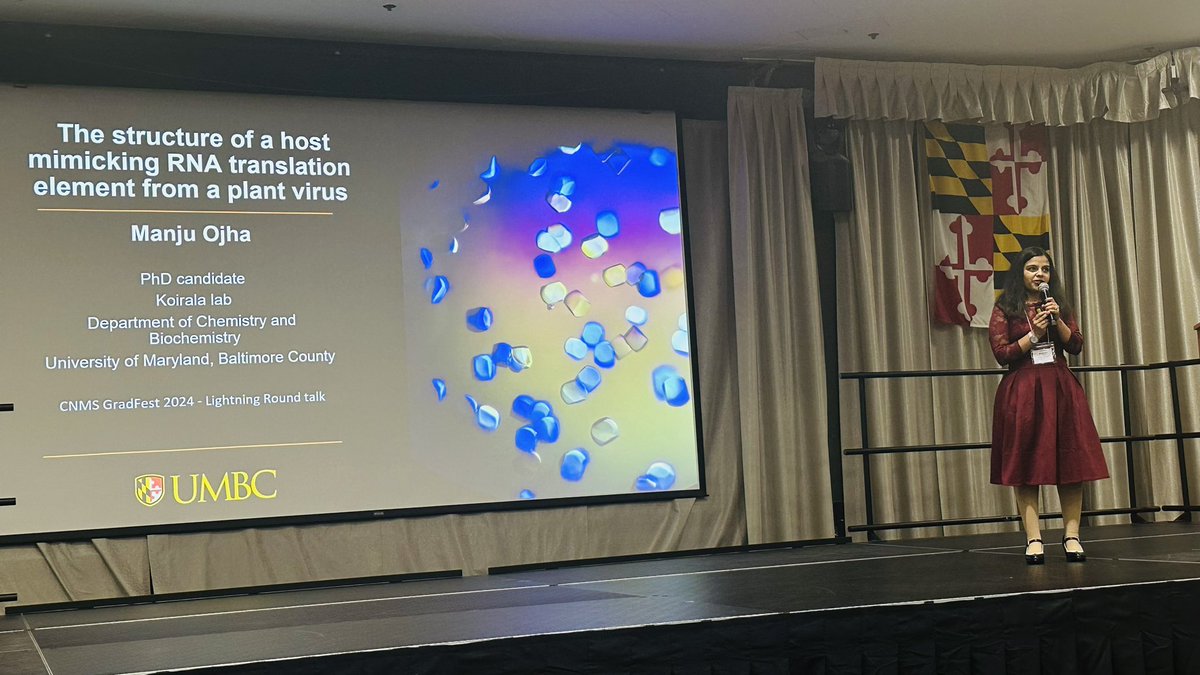3rd year graduate student from the lab presenting her work in CNMS GradFest at UMBC! Amazing lighting talk! Congratulations, Manju! #umbc <a href="/UMBCChemistry/">UMBC Chemistry</a> #RNA