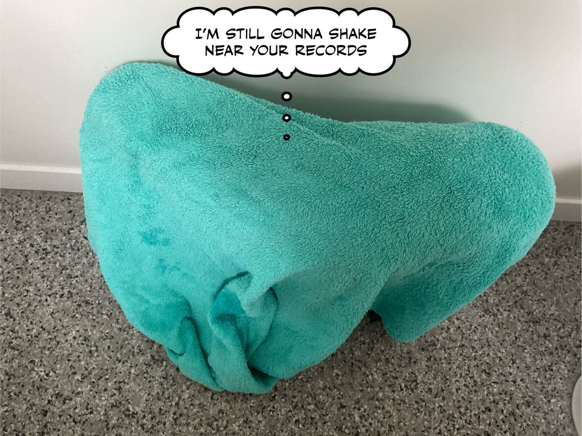 girlshirl1's tweet photo. Raven’s first ever shower happened earlier. She’s Forgiven me now 🚿🐾
#DogsOfTwitter #CleanCanine #SweetnShower https://t.co/l4WzTDNgyN