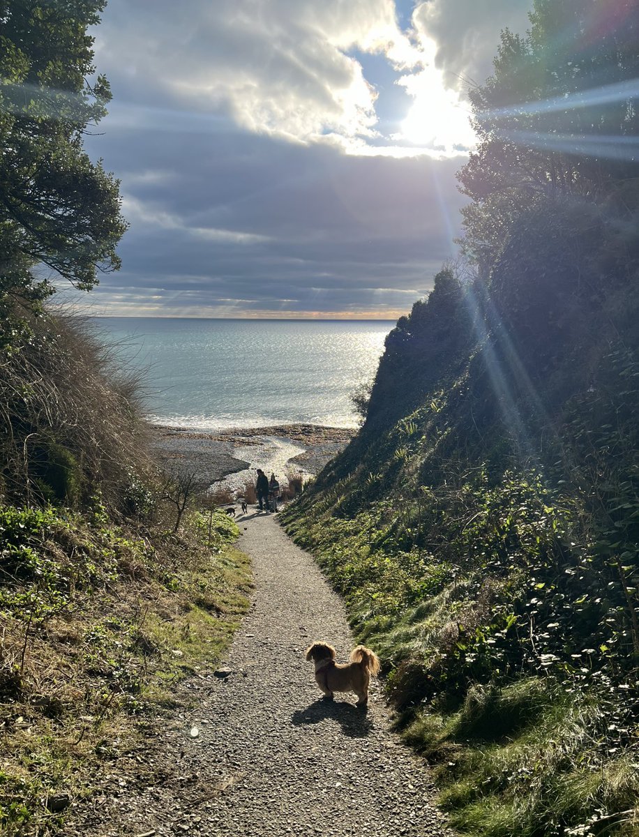 This year, TS Eliot was right ‘April is the cruellest month’. Today we had to say a final farewell to our little dog, Hugo, after nearly 12 years of him being a part of our family. Thanks to the amazing veterinary team at #AlbertCottage #Saltash especially Patrick, Amanda &amp; Kat.