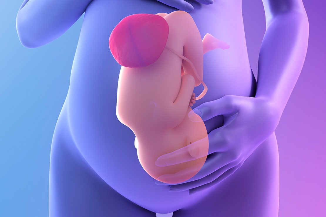 What is anterior placenta? Anterior placenta relates to the positioning of your placenta in the womb: if you've been told you have it - what does it mean for you and your baby? Does it change when you'll first feel your baby move? We explain all... spr.ly/6012ZZWGi