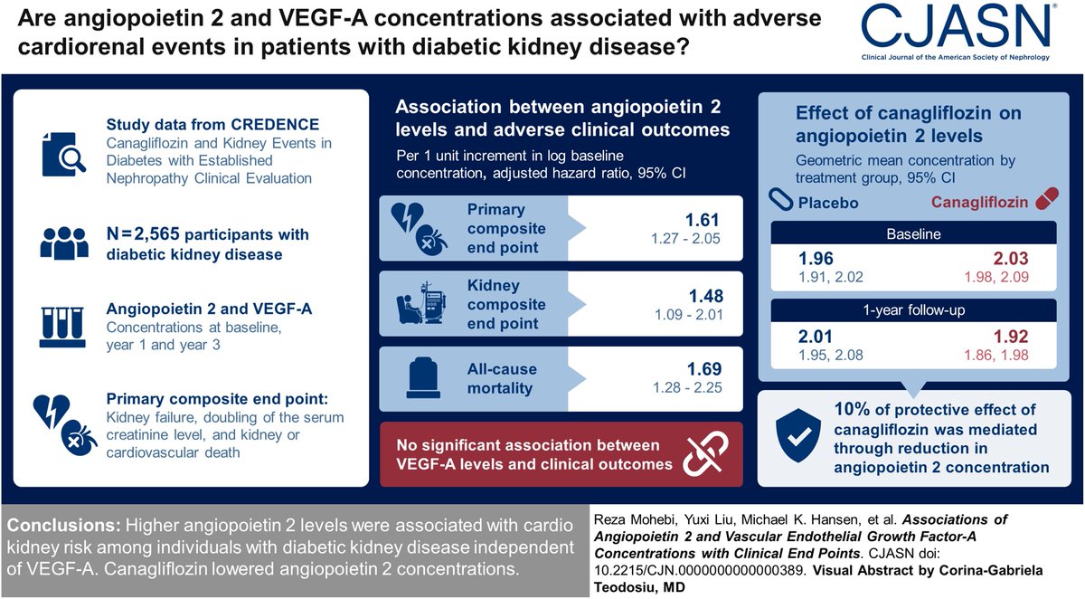 Angiopoietin 2 regulates endothelial function partially mediated by vascular endothelial growth factor-A (VEGF-A). This study found higher angiopoietin 2 levels were linked to cardiorenal risk among those with DKD independent of VEGF-A bit.ly/CJASN0389