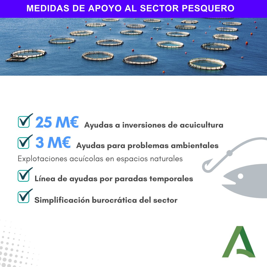 🐟📄✅@AgriculturAnd se propone aprobar un paquete de Medidas de Apoyo al Sector Pesquero que incluye ayudas para el relevo generacional, combatir los efectos del alga asiática, modernizar los puertos pesqueros, paliar los problemas ambientales y reducir la burocracia