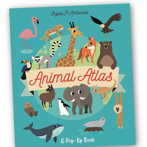 New addition! Year 1 - Animals, including humans Use the Animal Atlas to teach this fun unit, introducing children to reptiles, amphibians, birds, fish and mammals, and identifying herbivores, carnivores and omnivores.