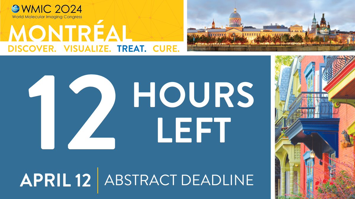 With just 12 hours left until the #WMIC2024 abstract submission deadline, the clock is ticking! ⏰ Don't miss this opportunity - submit your research now to secure your scientific spot! Guidelines: ow.ly/VuG750Rfk5q Submit: ow.ly/Lp4g50Rfk5n