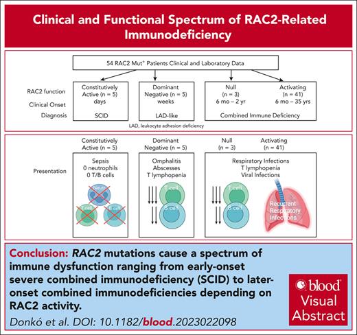 RAC2 mutations define phenotype: constitutively active, RAS-like cause SCID, dominant-negative resembleLAD, dominant-activating cause CID. ow.ly/TSMk50ReqxP #clinicaltrialsandobservations #immunobiologyandimmunotherapy #phagocytesgranulocytesandmyelopoiesis