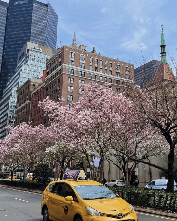 spring in new york city 🤍