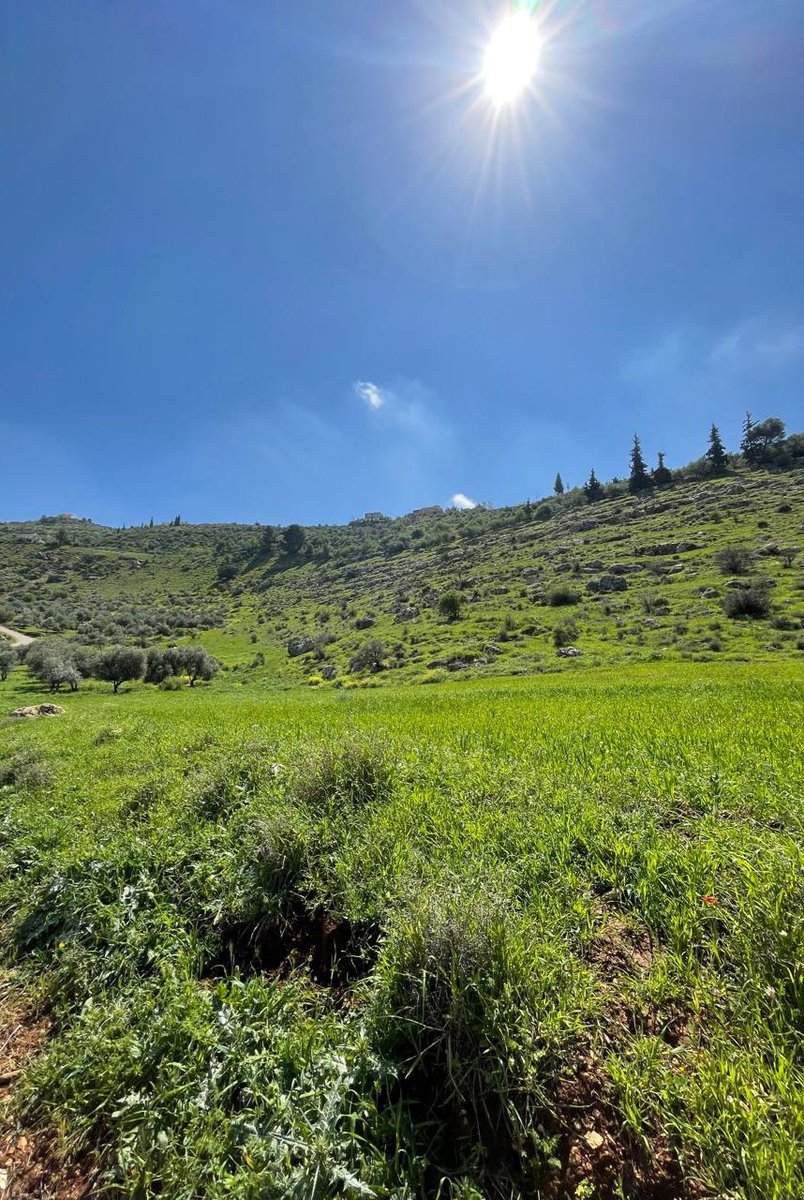 Ruba Al Zu'bi ربى الزعبي tweet media