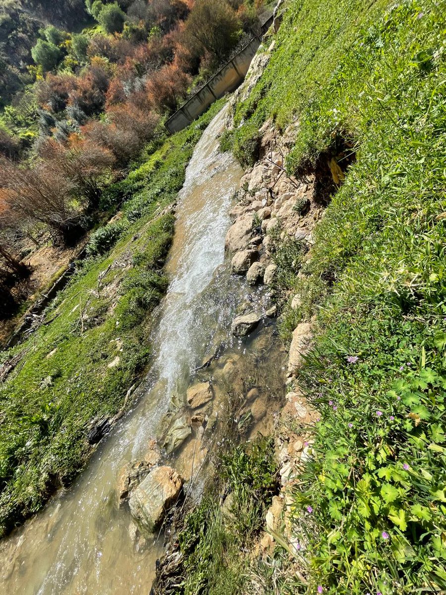 Ruba Al Zu'bi ربى الزعبي tweet media