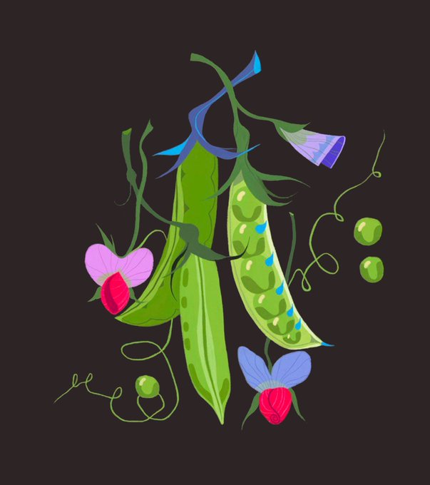 「flower vines」 illustration images(Latest)