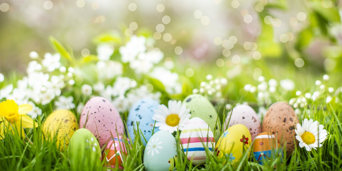 Last chance for some family Easter fun (this year). events still on at @NESMUSEUM, @BoltonCastle, @CastleHowardEst, @stockeldpark and more daysoutyorkshire.com/whats-on/easte…