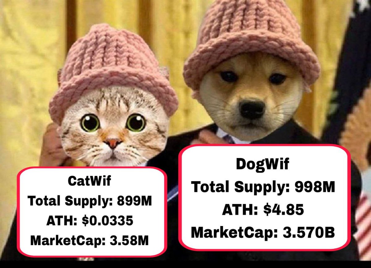 _mxhsen_'s tweet photo. @JakeGagain #CATWIF @Catwifhat_2024 https://t.co/QboVGjskqU