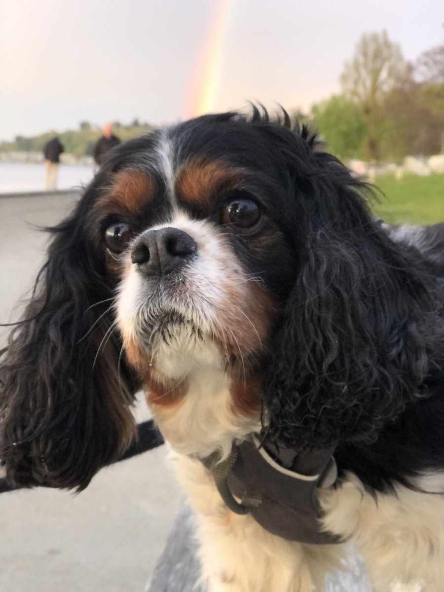 Hope your weekend is full of rainbows!