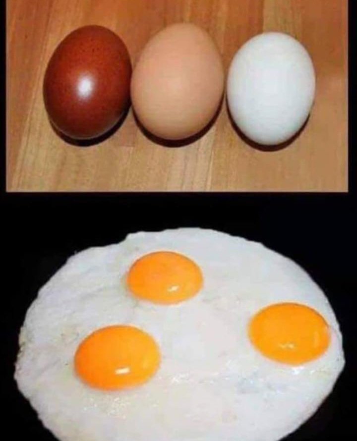 Racism explained simply 👇👇