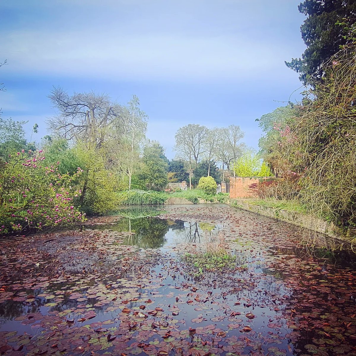 What an awesome day at @SpetchleyPark ! I had no idea how amazing the plant collection was, and @Matthew_Pottage , Liz our archivist and I got to nerd out with their team and family about the awesome Ellen Willmott and her sister Rose. 😍