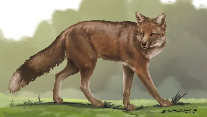 Foxes were once humans’ best friends, study says... In an ancient grave in what’s now northwestern Argentina, a person was buried with a canine companion, but this animal friend wasn’t a dog, according to new research. Burial held skeleton of a type of canid that may have once…