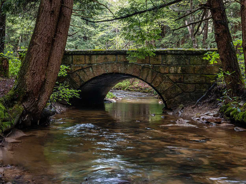 The stone bridge into Swallow Falls State Park is currently being repaired. The park can still be accessed by the gravel road portion of Maple Glade Road from the Cranesville Road Side.