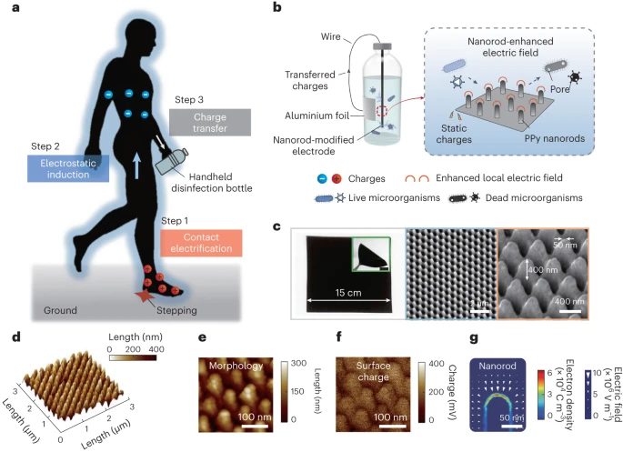 🔔New research article An in-situ disinfection approach in portable water bottles by walking-induced electrostatic charges nature.com/articles/s4422… Free here rdcu.be/dEA0a Read the associated News & Views article nature.com/articles/s4422… rdcu.be/dEA0v