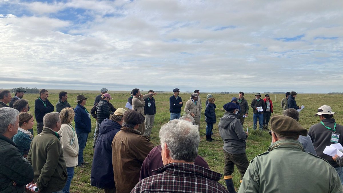 Hoy en el InterCREA de la Zona Norte tuvimos otro rico intercambio entre productores de la zona, visitando el Establecimiento “Ombués de Sarandí” del Grupo CREA “Viento Norte”.

Al mejor estilo CREA, el conocimiento fue de ida y vuelta. ¡Gracias Flia. Iriarte!
#crecemosengrupo