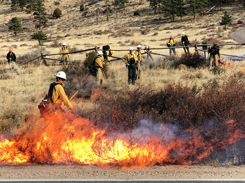 Boulder conducting prescribed burn near Coot Lake trib.al/qRgbISG