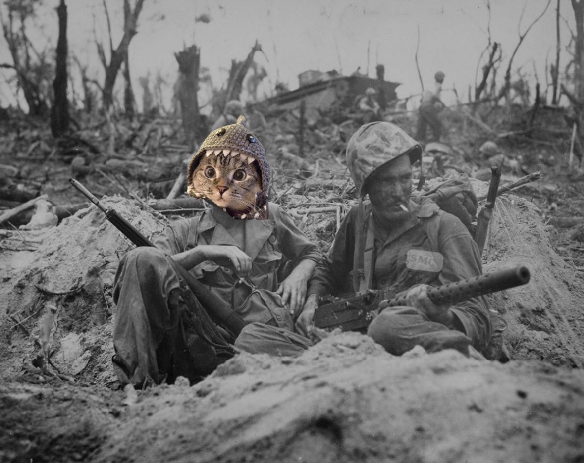 For todays FUD, SharkCat in the trenches amidst a World War. Never retreat, never surrender. $SC can’t wait to see our FUD tomorrow