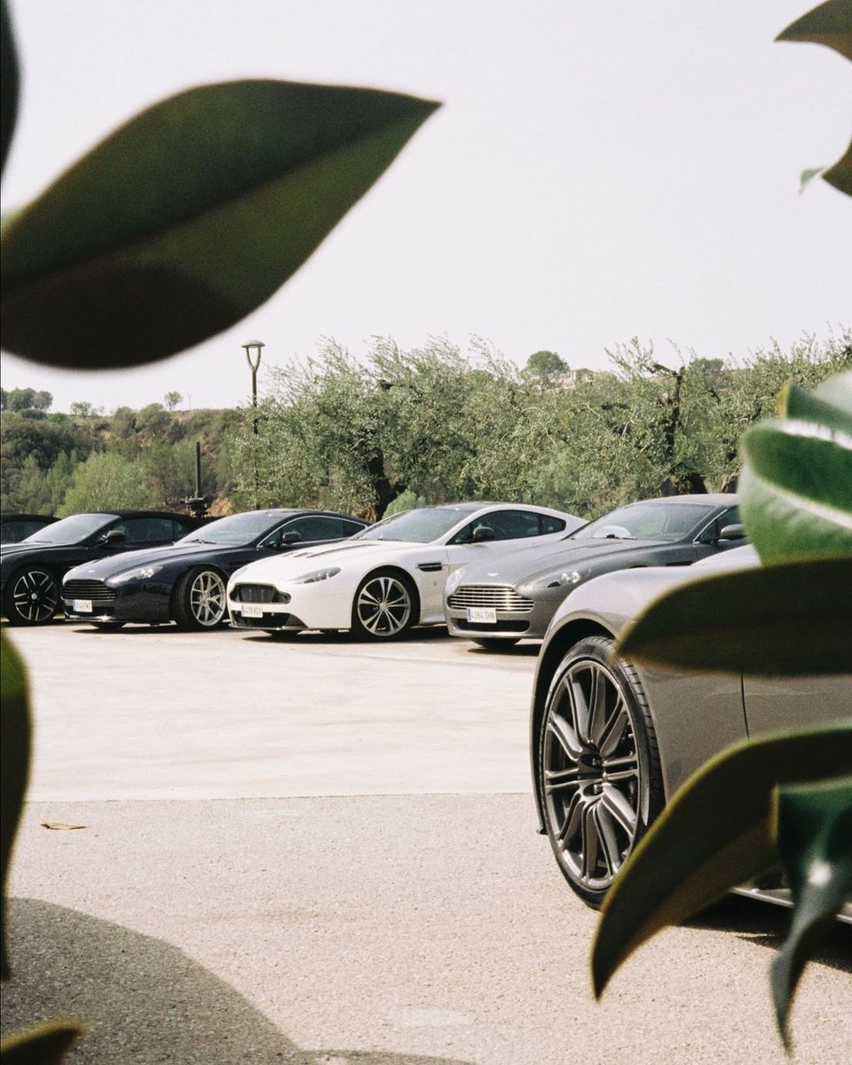 CarManToday's tweet photo. Aston Martin Owners Club Spain Members 🇪🇸
Calçotada Route
#astonmartin #amoc #amocspain #astonmartinownersclubspain #vantage #db7 #vanquish #dbs #rapide #amr #rapideamr #barcelona https://t.co/apmEfHhykZ