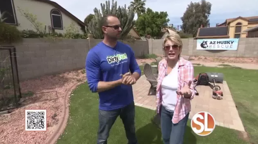 Cleaning artificial grass can become a daunting task! Dirty Turf can eliminate 100% of pet odors in just one treatment and restore artificial grass to a like-new state! 🏡 tinyurl.com/234ncjnd #abc15sponsor