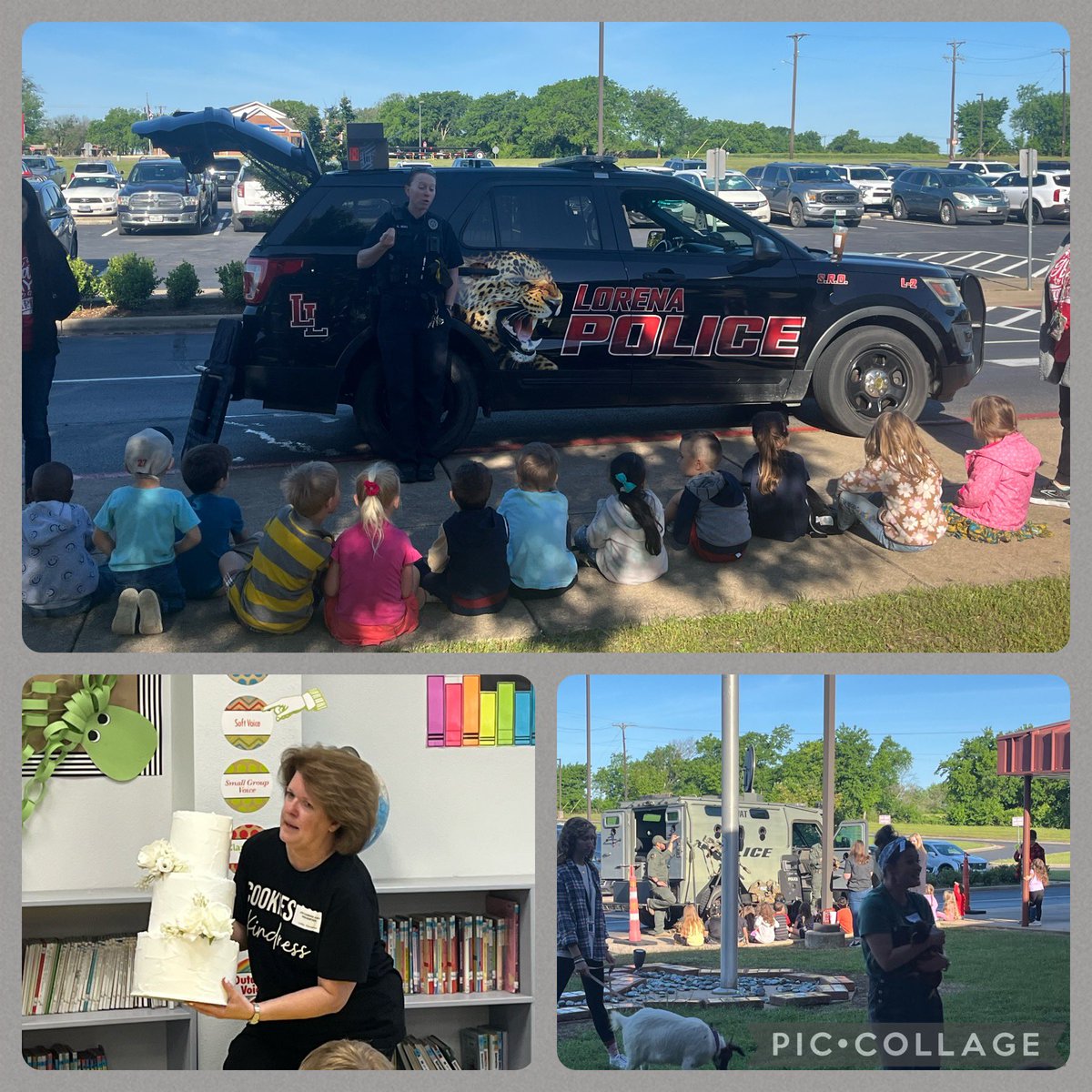 Sunnye Forrest tweet media