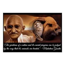 Purring for all nations to place value on animal lives. Gandhi said it best! PurrpurrpurrPurrpurrpurrPurrpurrpurrPurrpurrpurrPurrpurrpurrPurrpurrpurrPurrpurrpurrPurrpurrpurrPurrpurrpurrPurrpurrpurrPurrpurrpurrPurrpurrpurrPurrpurrpurrPurrpurrpurrPurrpurrpurrPurrpurr #Purrs4Peace