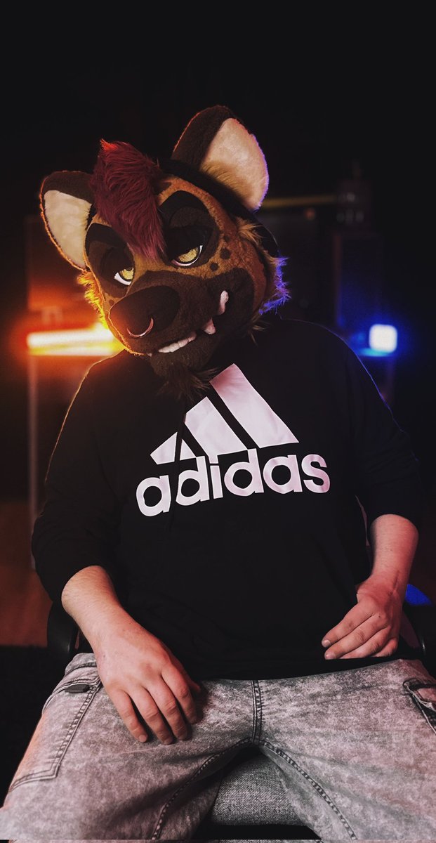 Hyena facts:

The spotted hyena is the largest species of hyena   #FursuitFriday