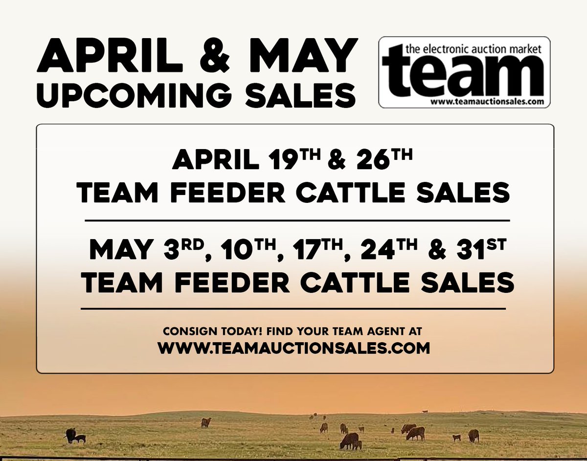 Upcoming TEAM Feeder Cattle Sales! Contact your local TEAM agent to consign - teamauctionsales.com/s_agents.aspx April 12th Results - teamauctionsales.com/TEAM-Feeder-Ca… April 5th Results - teamauctionsales.com/TEAM-Feeder-Ca…