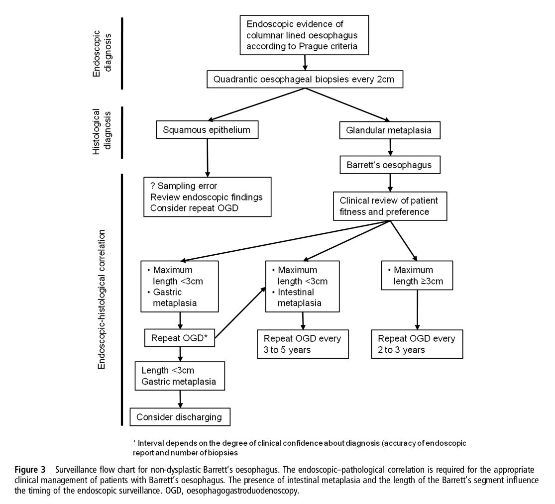 DrMarkOng's tweet photo. @DrBMcGinn @MAHoureih BSG guidelines on follow- up of non-dysplastic Barrett's oesophagus https://t.co/zdsBfS94WO