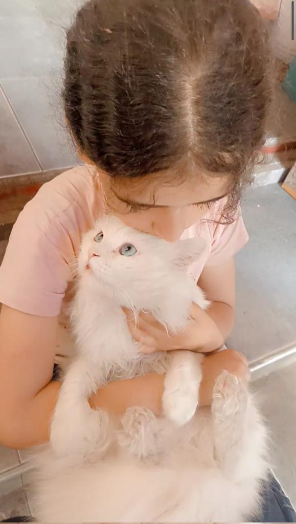 📎gofund.me/5ab6d135 When I see my little sis holding her cat on the 189th day of the war, the pain in my heart renews. The innocence in her eyes and her love for animals make me wish for peaceful and safe days for her in these difficult circumstances. Pls donate or share 😔