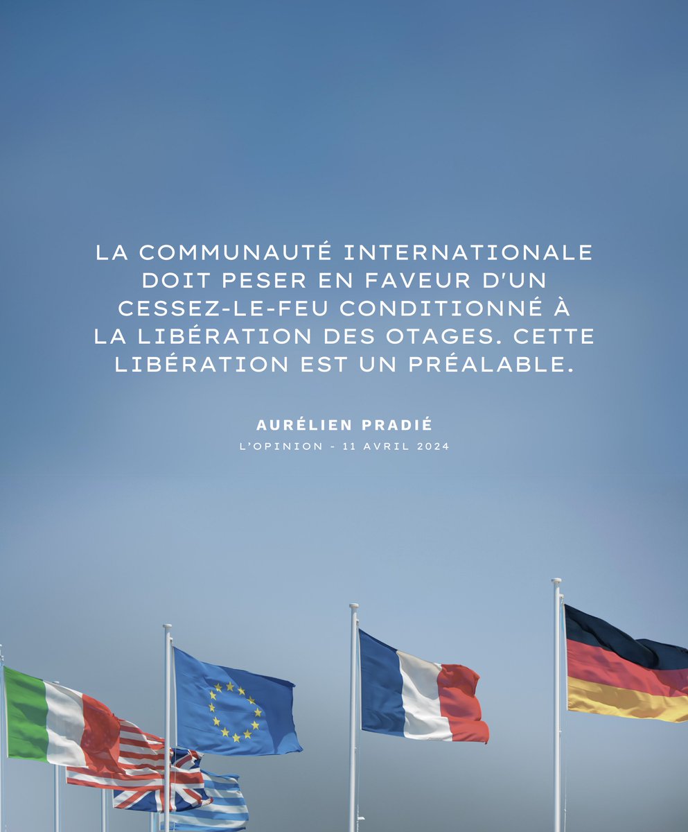 La communauté internationale doit peser en faveur d'un cessez-le-feu conditionné à la libération des otages. Cette libération est un préalable. Nos homologues britanniques eux-mêmes ont rappelé, par la voix de David Cameron, qu'il n'y avait pas de soutien inconditionnel à Israël…