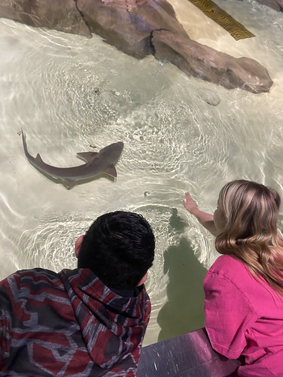 alliestroud's tweet photo. Today, we continued our conversations on endangered species, life cycles, and animal classifications by exploring the zoo!! #wearewayne https://t.co/9BW9vJR9VG