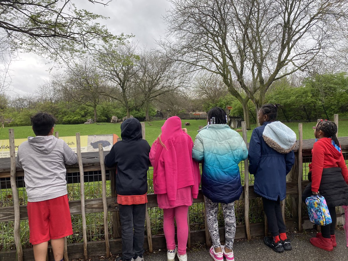 alliestroud's tweet photo. Today, we continued our conversations on endangered species, life cycles, and animal classifications by exploring the zoo!! #wearewayne https://t.co/9BW9vJR9VG
