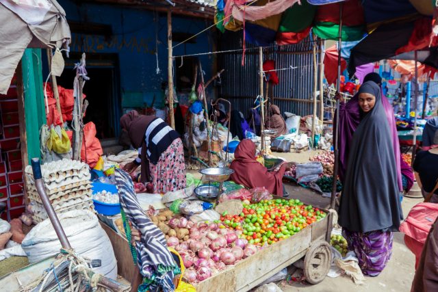 Learn about the potential for business membership organizations in #Somalia to shape economic development in the country. Read CIPE's EU-funded study here: cipe.org/blog/2023/07/3… #AssociationFrontiers