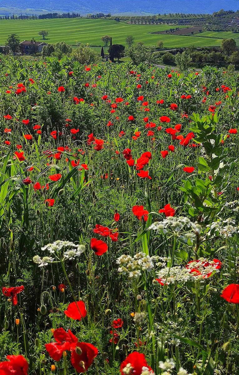 Umbria, la campagna di Perugia