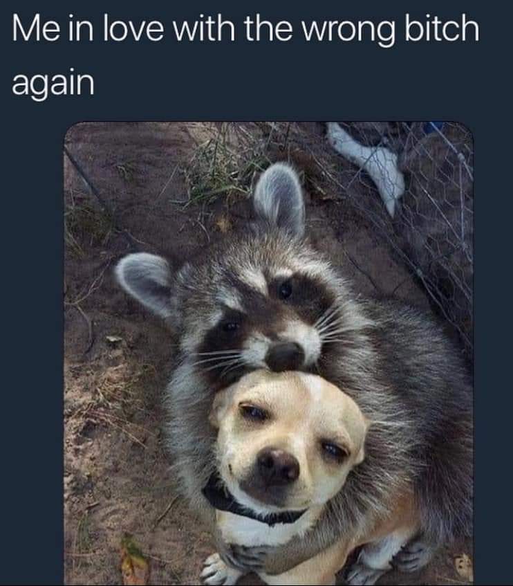 staffaun's tweet photo. Everytime 🤣🤘 https://t.co/Pj5QwUcDKQ