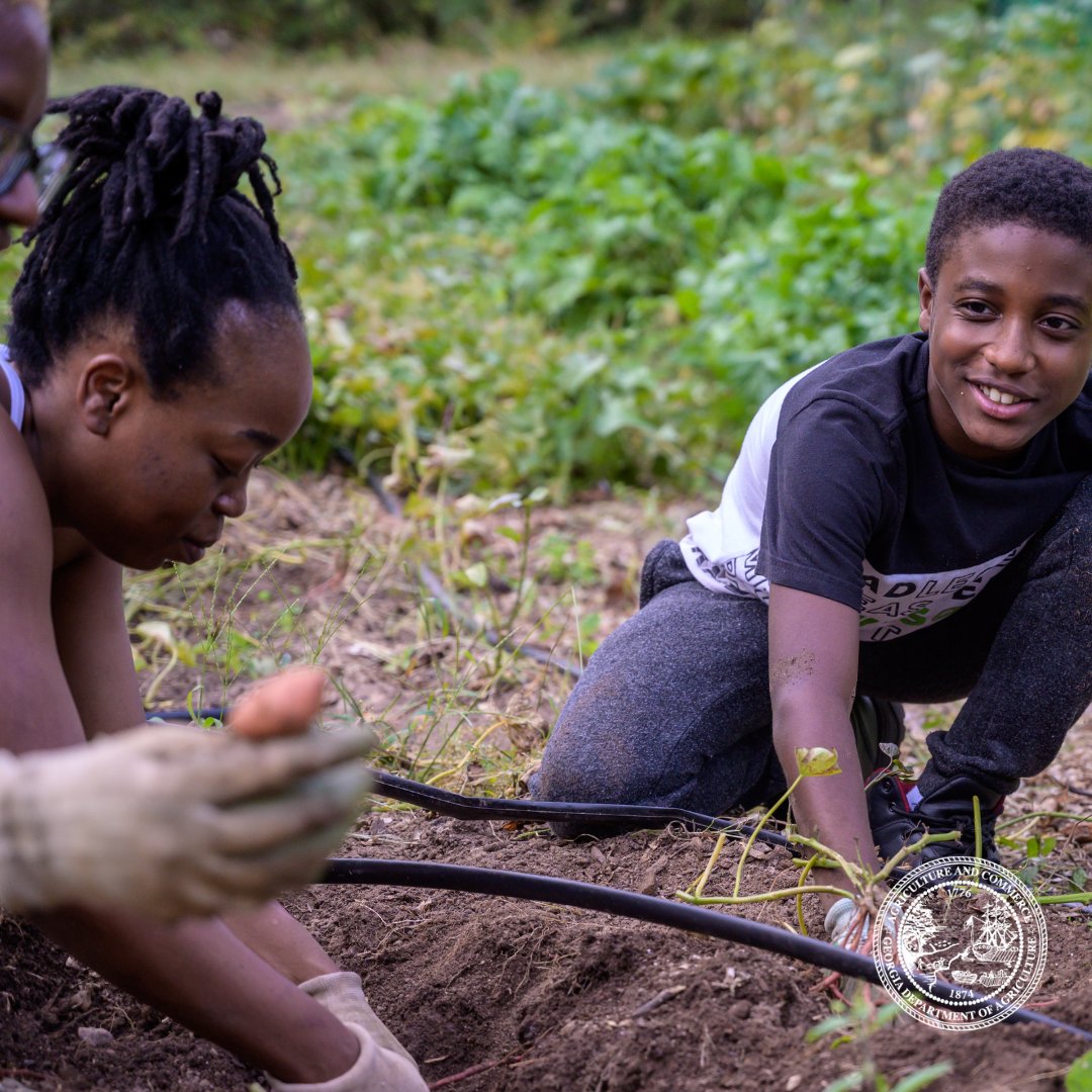 Agriculture feeds Georgians, sustains our economy, and nurtures our communities. #Georgia #agriculture #GeorgiaGrown