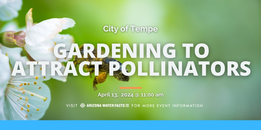 Join @Tempegov tomorrow and learn how to attract and support pollinators with desert friendly landscaping! ow.ly/2apL50Rfjee