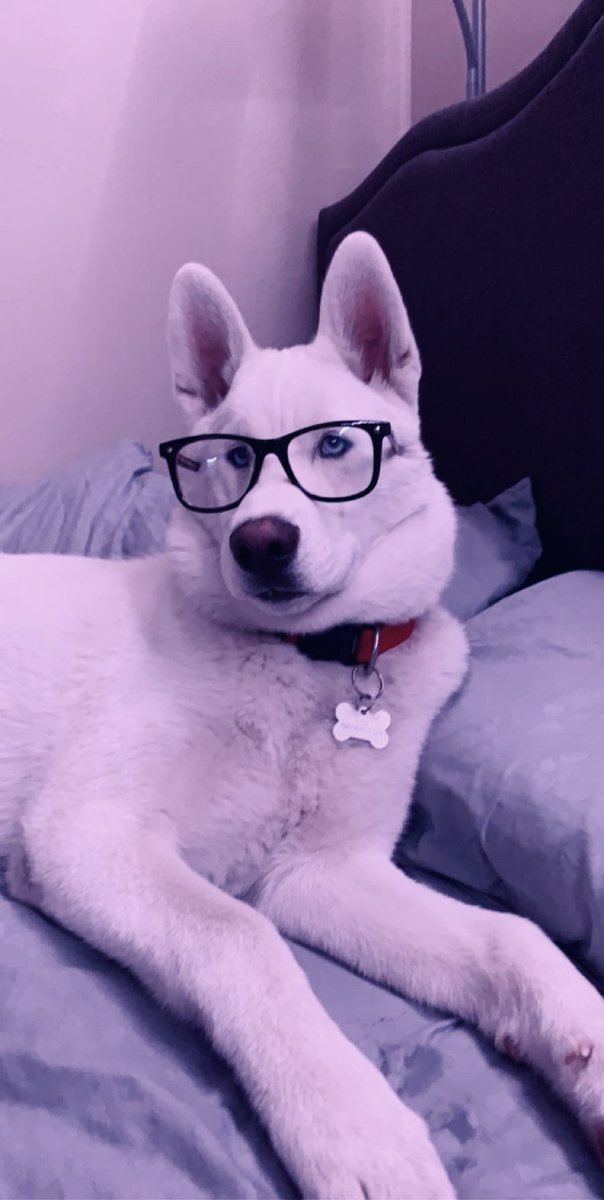 Z0SO_'s tweet photo. @OpTic @CordaRoys https://t.co/pJC79nKGbD
